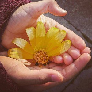 Meet your Posher, Lilia